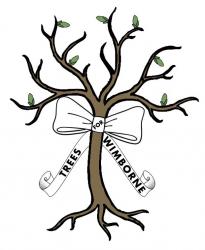 Image of Trees for Wimborne Logo