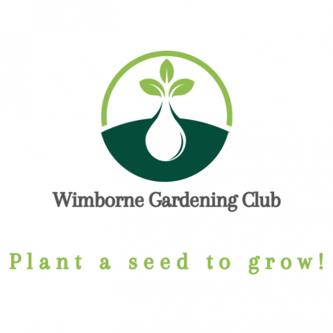 Wimborne Gardening Club