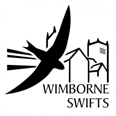Wimborne Swifts