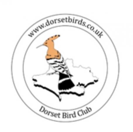 Dorset Bird Club