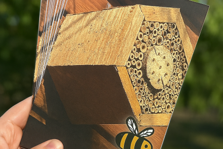 14 July 2025 Newsletter