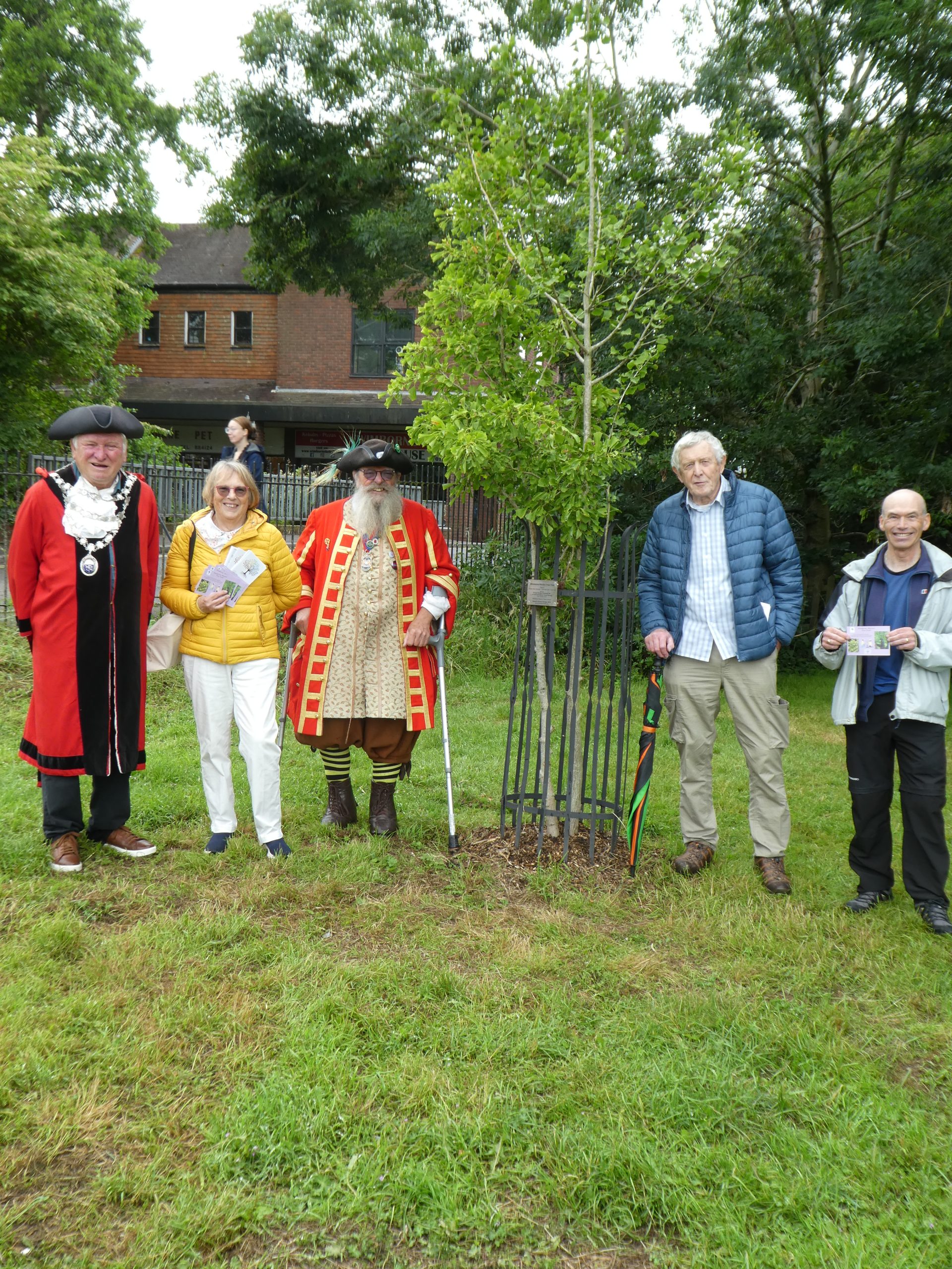 Town Mayor Cllr Jeff Hart, Linda Bunting (Chair, Planet Wimborne), Town Crier Cllr Chris Brown, Cllr Bill Richmond, Neil Smith (Trustee, Planet Wimborne) with the ginkgo tree planted on Willow Walk.