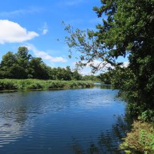 Wide blue river, blue sky with white clouds, trees on both riverbanks